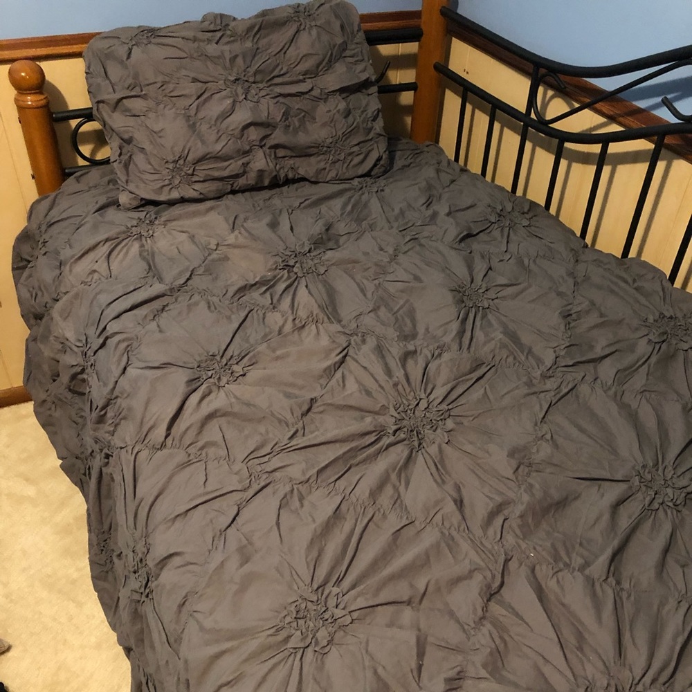 Pier 1 Duvet Cover (twin) plus 2 shams